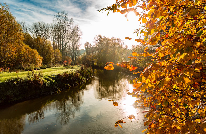 Be sure to visit the village of La Madelaine-sous-Montreuil just 15 minutes from La Plonplonière