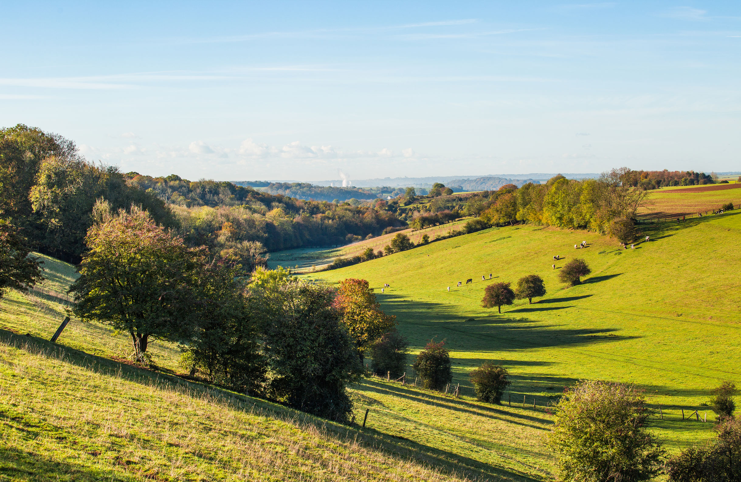 The rolling Northern France countryside surrounding Maison de Plumes in Heuchin