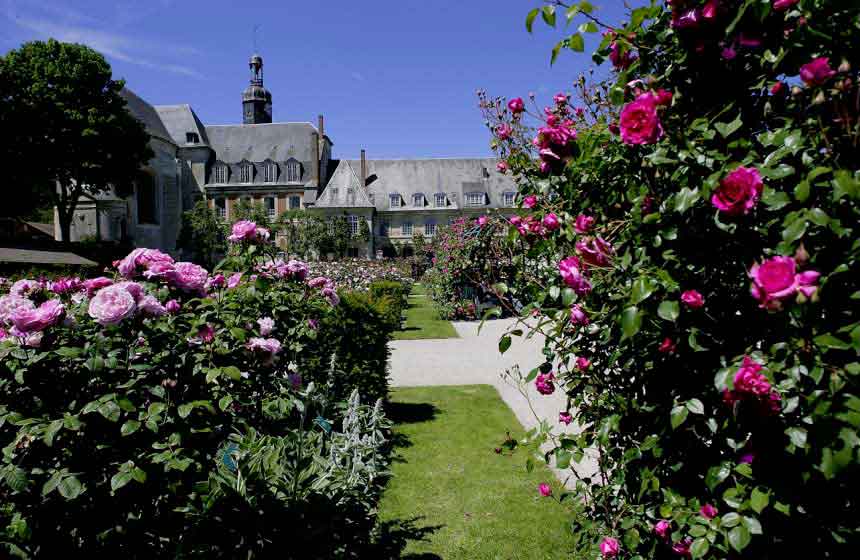 The famous rose gardens at Abbaye de Valloires