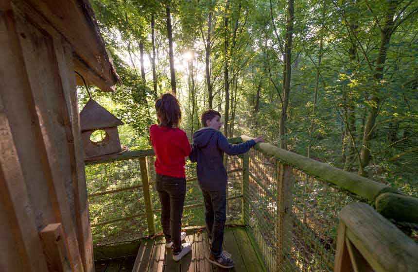 This family treehouse holiday in France will certainly instil a love of nature in the kids