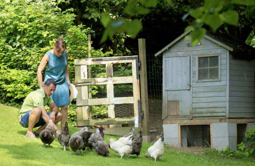 Meeting feathered friends adds to the charm of this cottage break in Northern France