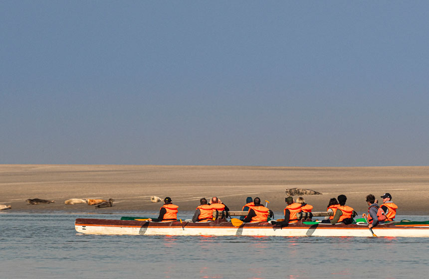 Hire a paddleboard or canoe and you might be lucky enough to see seals