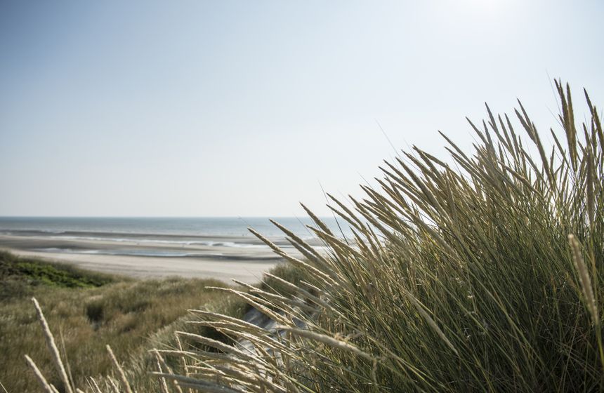 Enjoy the pure joy of the beach and dunes during your stay at B&B Villa Samoa in Bray-Dunes, Northern France 
