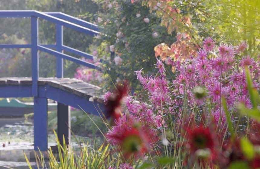 Painter André Van Beek’s gardens near Château d’Auteuil