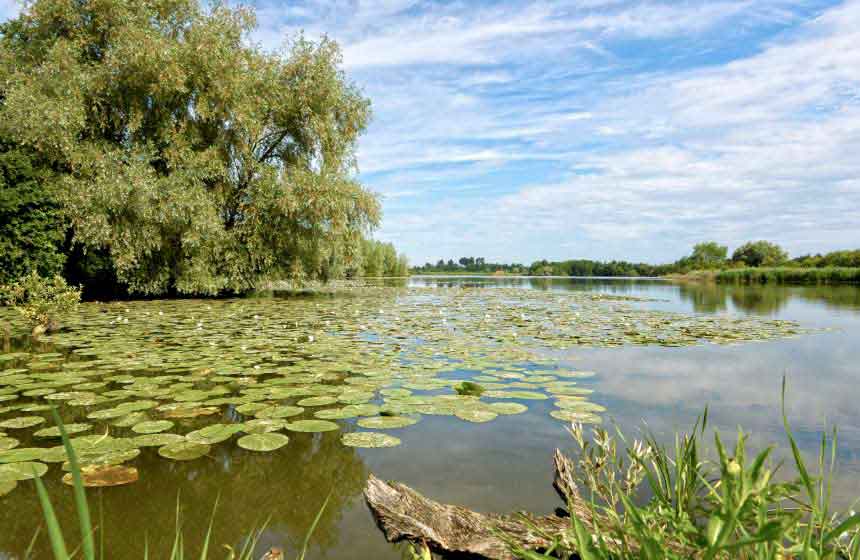 The Marais Audomarois