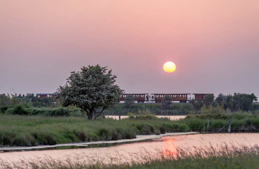 The Baie de Somme's little train going across the salt marshes