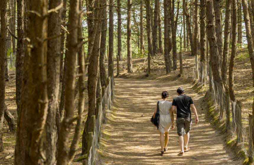 The ‘Sentier du Royan’ pathway, a pleasant walk from the town of Fort-Mahon right down to the sea