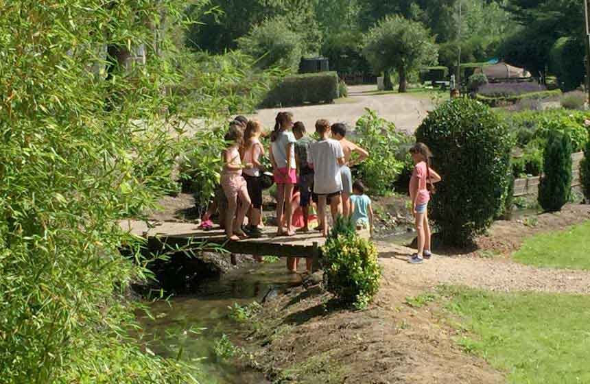 Children can get up close and personal with nature at the campsite