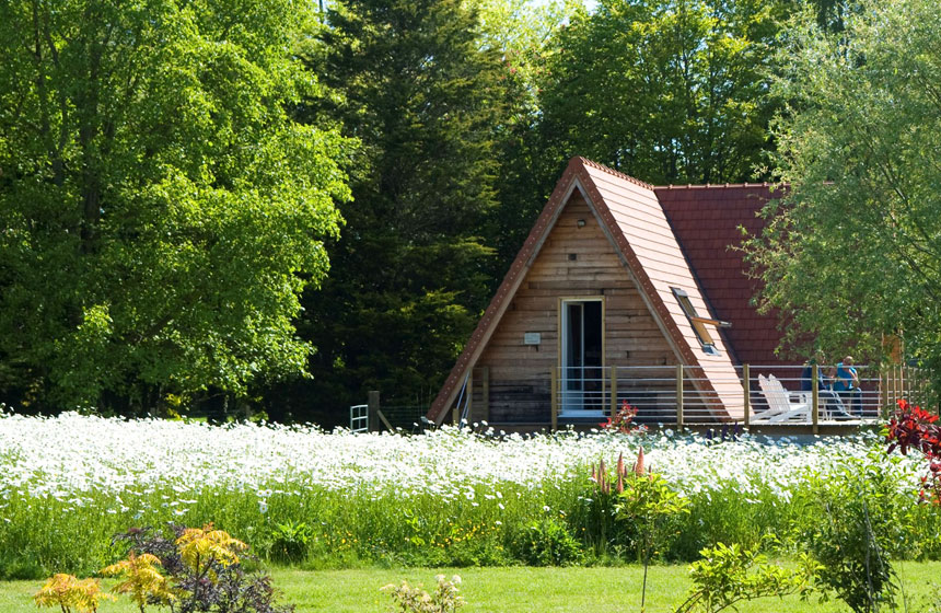 Your lodge surrounded by wildflowers