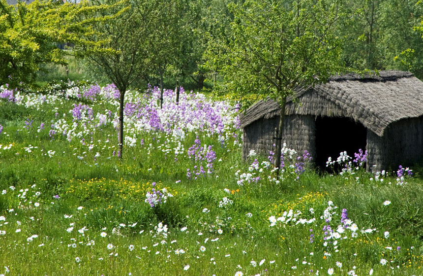 Your huge flower-filled garden