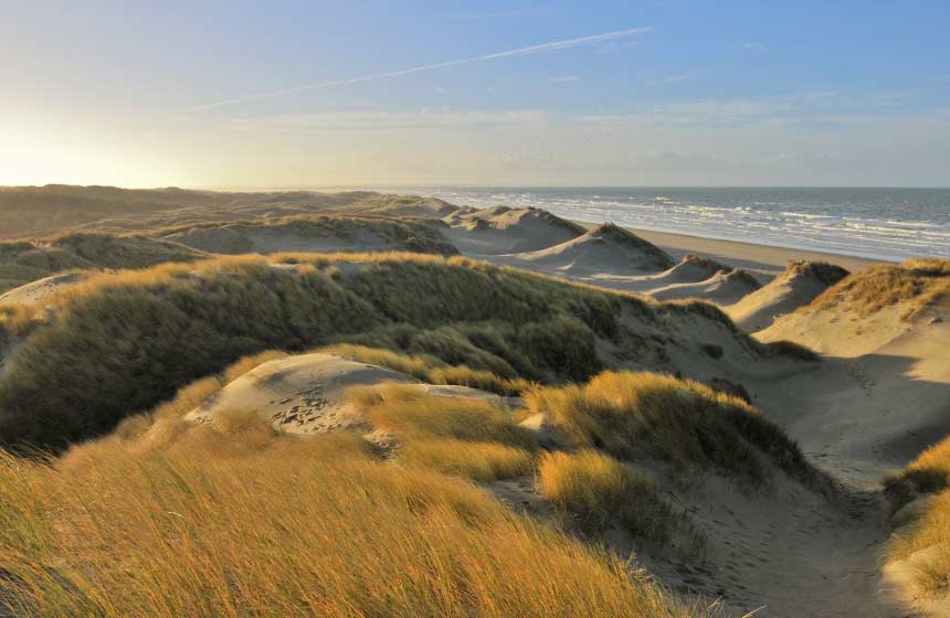 The Fort-Mahon dunes
