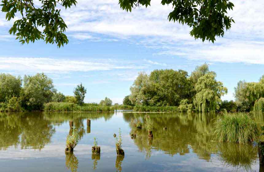 Peaceful lakes in the village of Clairmarais in Northern France