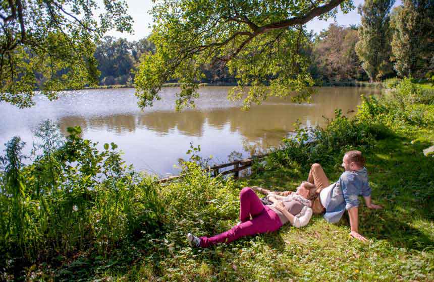 Lakes at the heart of Compiègne forest in Hauts de France 