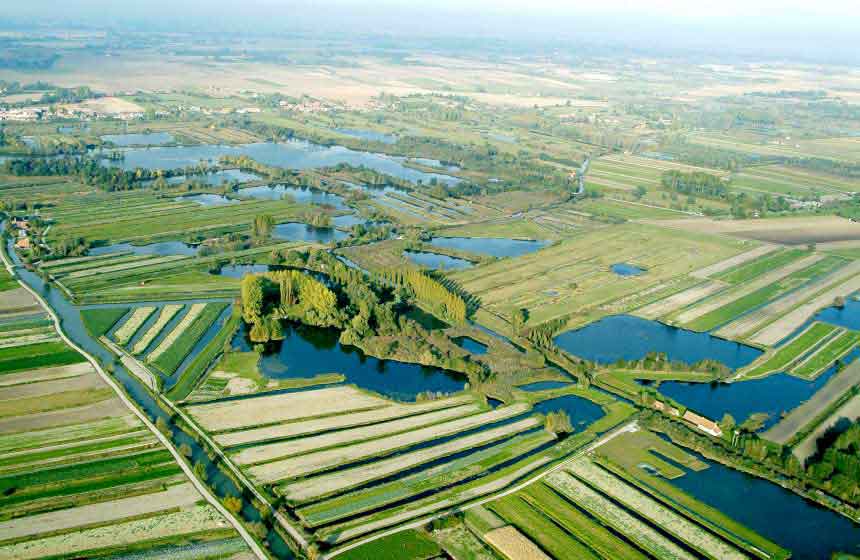 Saint-Omer’s marshlands