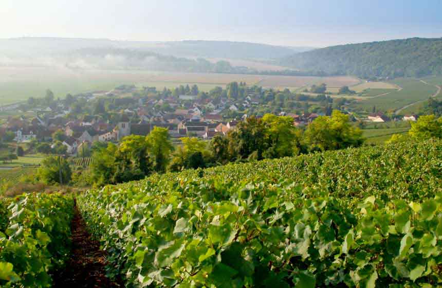 Champagne vineyards abound nearby