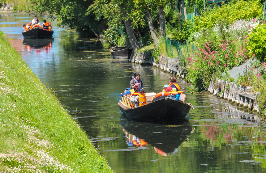 Exploring the Marais Audomarois by traditional flat-bottomed boat (bacôve)