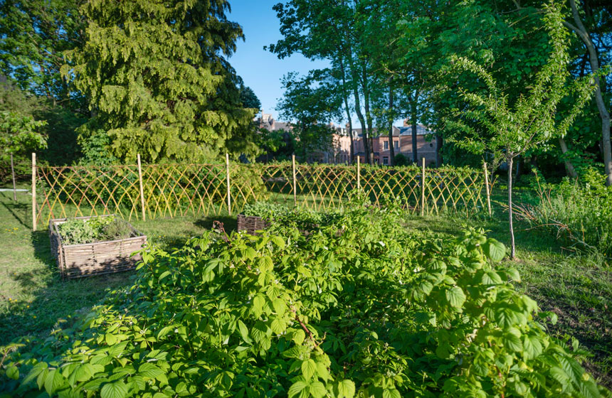 The Myrrophores' vegetable garden