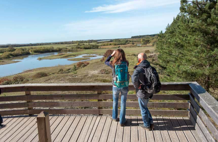 Contemplating the birdlife in the Parc du Marquenterre