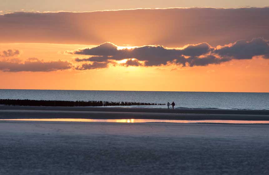 The bouchots for growing mussels on Quend beach