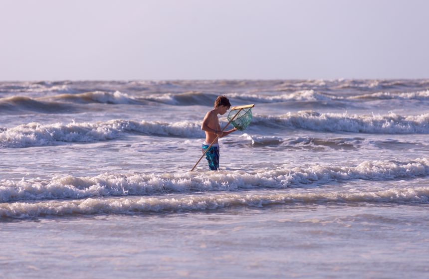 Owner Anne-Stéphanie will lend you nets for shrimping. B&B Villa Samoa, Bray-Dunes, Northern France