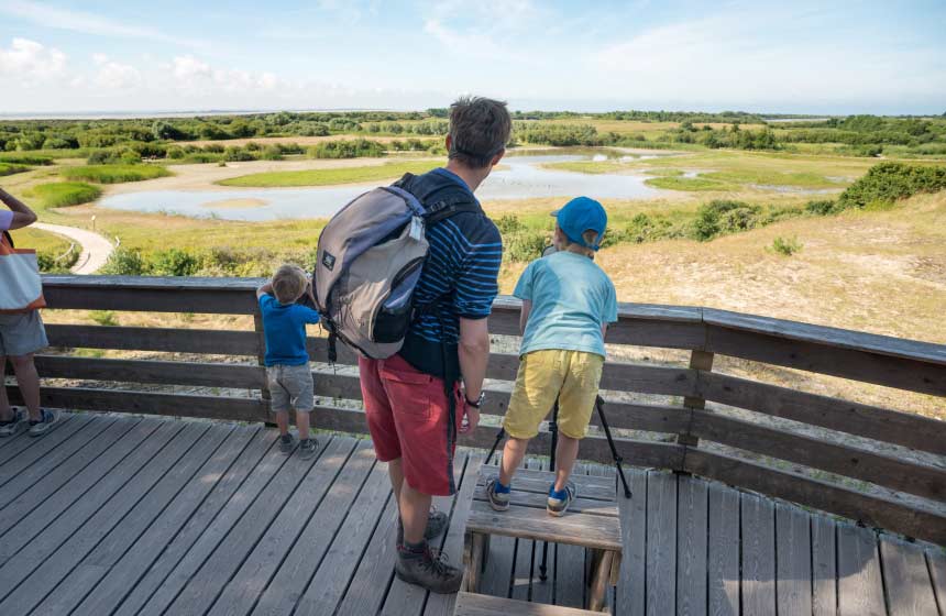 Bird-watching with binoculars in the Marquenterre