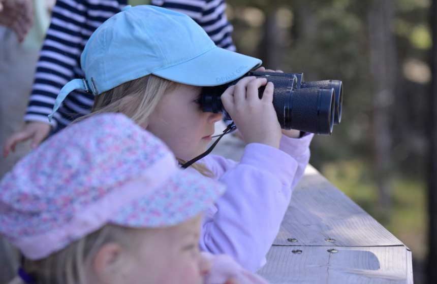 You’ll get so close to the seals and migratory birds, binoculars aren’t always needed!