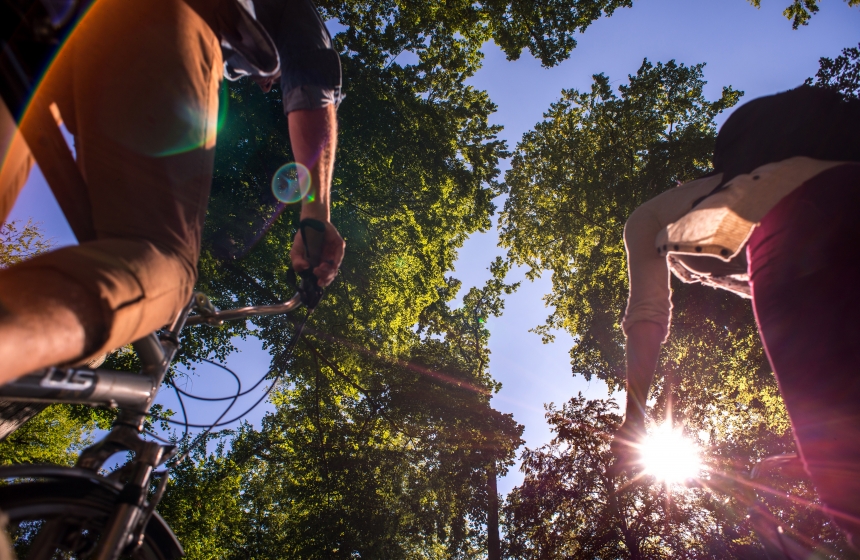 Borrow our bikes and head off to the champagne vineyards of Northern France