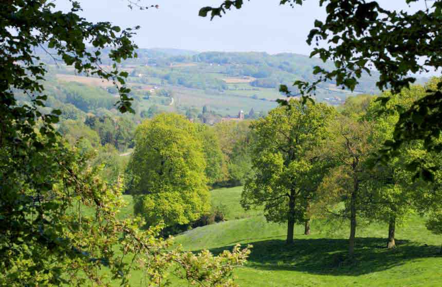 The wooded, undulating landscape of the Mont des Cats