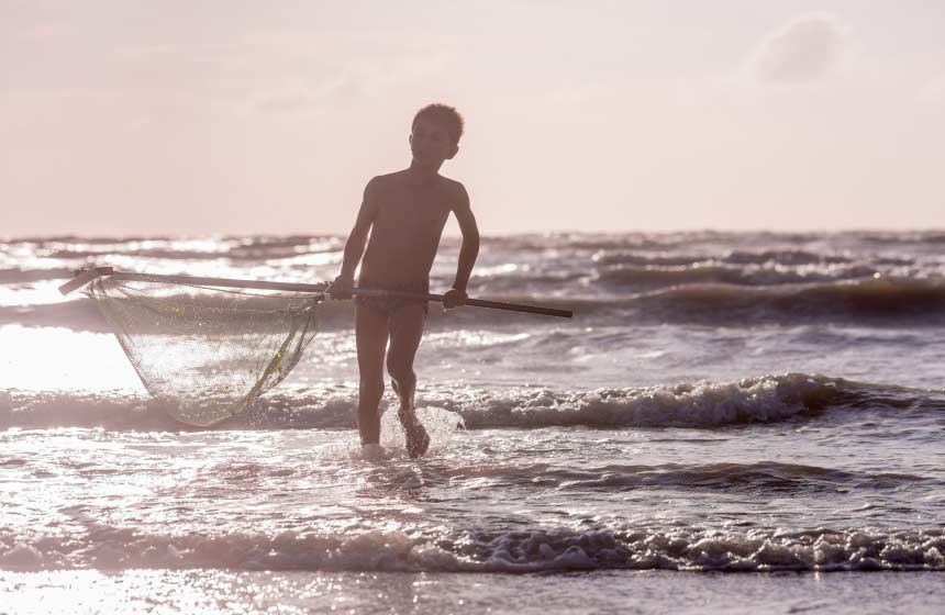 Fishing for shrimps at Mers-les-Bains