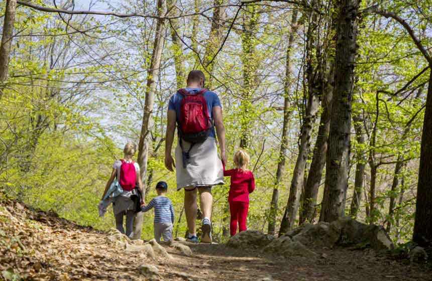 Make the most of the Northern France countryside on a family walk in the woods near the gite