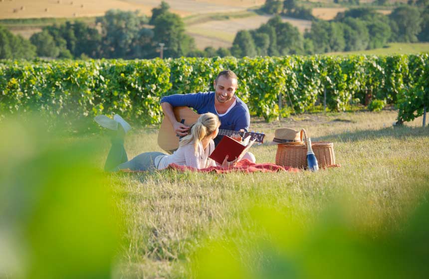 The pleasure of a picnic in the champagne vineyards nearby