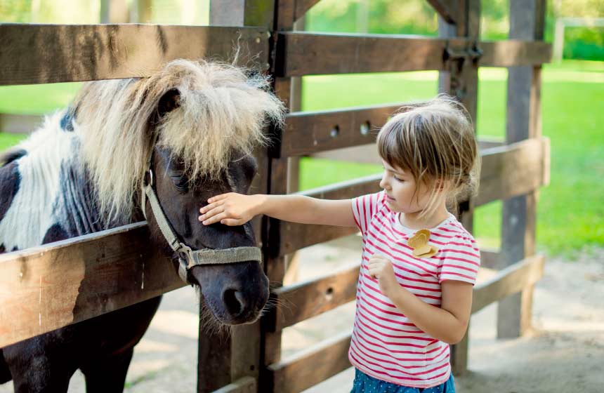 Kids will love meeting the ponies at Camping de la Trye campsite near Beauvais