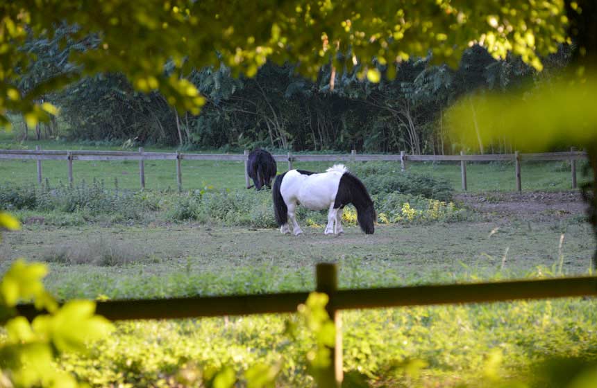 Children can get up close and personal with nature on holiday at Chateau-des-Tilleuls