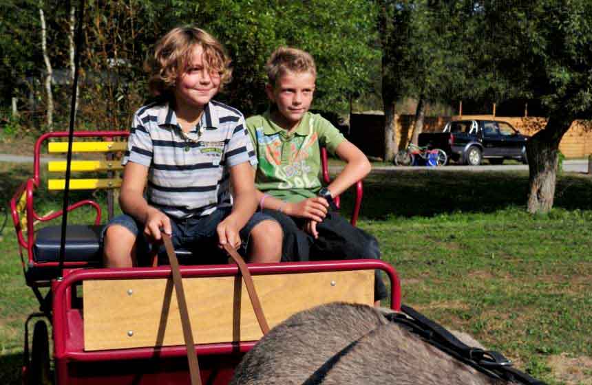Fun pony and cart rides at Camping de la Trye campsite near Beauvais