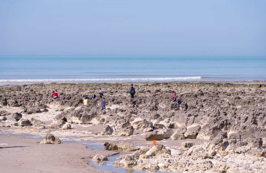 On the lookout for crabs on the beach at Mers-les-Bains