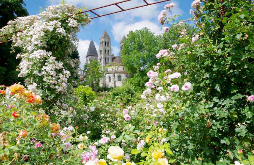 More roses to smell in the « Roseraies de Morienval» 
