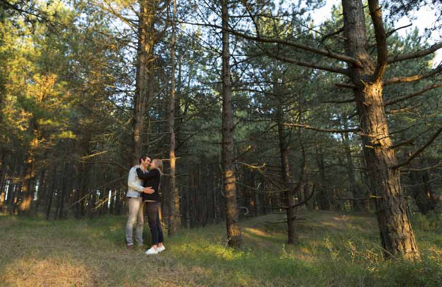Get away from it all in Le Touquet's pine forest and dunes