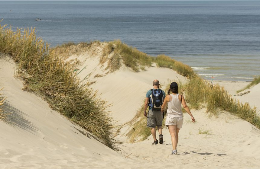 Discover the dunes and the Platier d’Oye nature reserve right on the doorstep of your coastal holiday cottage in Northern France
