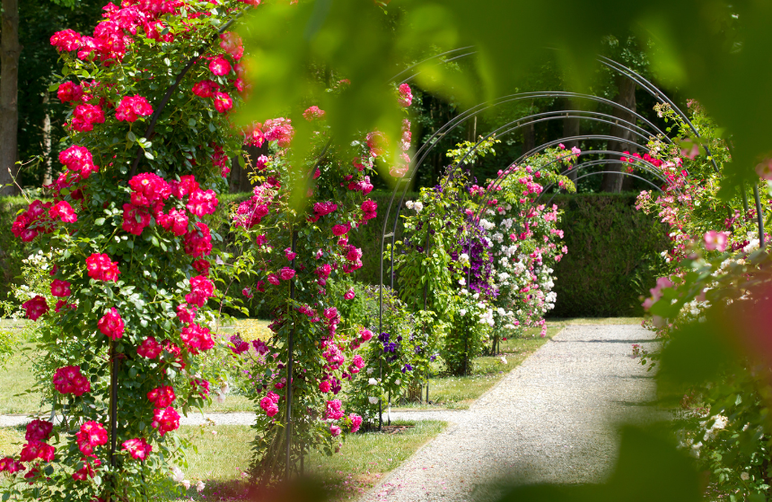 The famous rose gardens at Chaalis abbey are only 10 minutes by car from Senlis