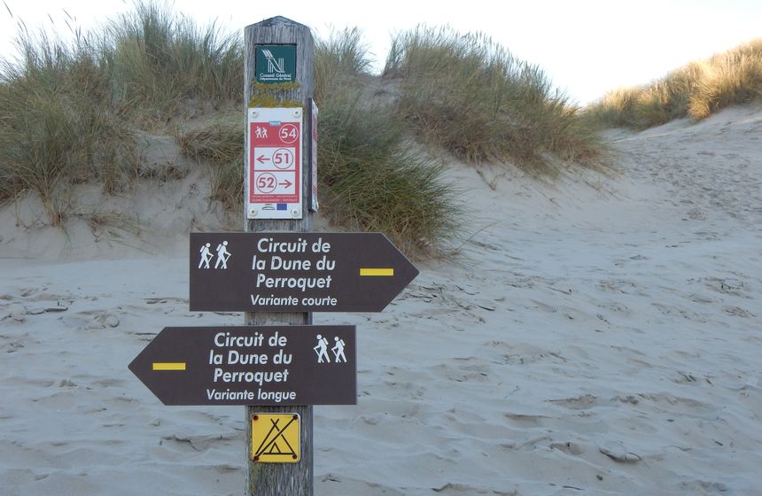 Designated pathways to help you explore the dunes on your Bray-Dunes weekend near Dunkirk