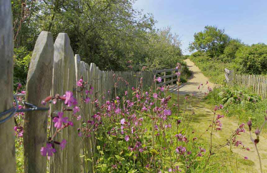 Follow the GR120 walking route that links Cap Gris Nez cliffs with Cap Blanc Nez cliffs