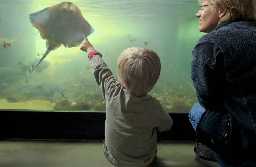 It's great to see the kids getting up close and personal with nature at Nausicaà - Europe's largest aquarium
