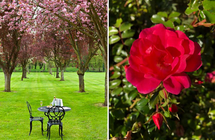 Beautiful trees and exceptional floral views provide a stunning backdrop at Château de Tilques