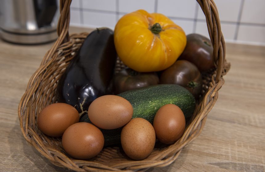 Welcome basket with vegetables from the garden and eggs from the henhouse