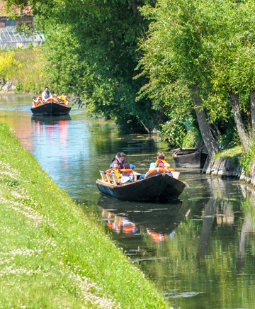 a ‘bacove’ in the Marais Audomarois - French Weekend Breaks