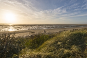 Bay of Somme