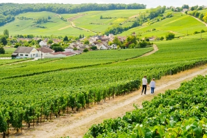 Northern France holidays - Champagne trail - French weekend Breaks