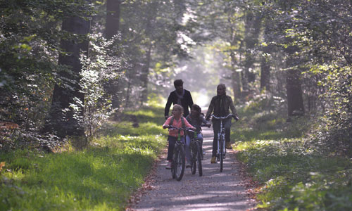 a family Cycle Route in the forest of Compiègne - visit France