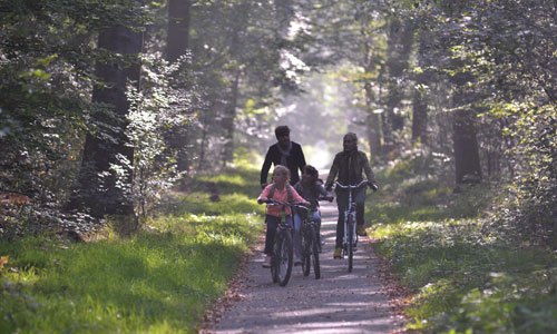 Cycle route in the forest of Compiègne - French Weekend Breaks