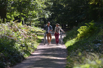 FOREST OF Compiegne couple bike ride Oise A1 Northern France